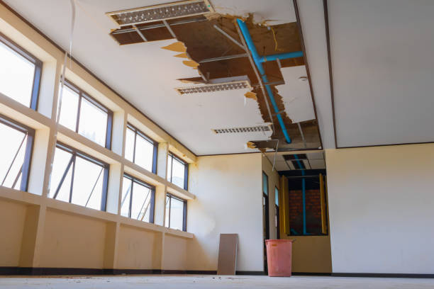 Best Residential water damage restoration  in St Leon, IN