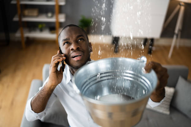 Best Water damage restoration cost  in St Leon, IN