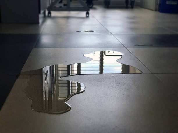 Best Water damage restoration near me  in St Leon, IN