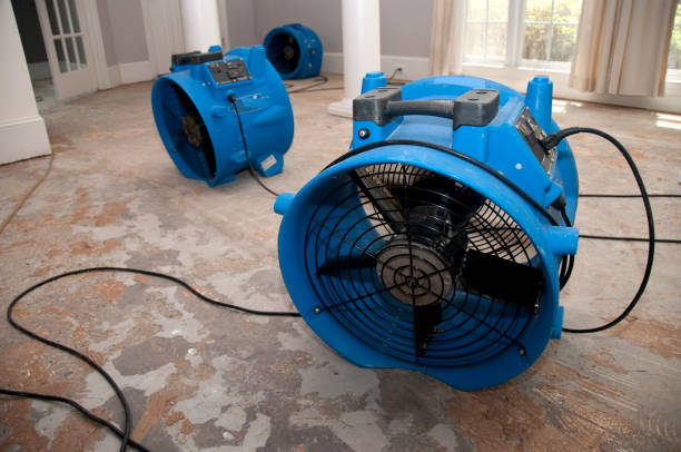 Best Water damage restoration services  in St Leon, IN