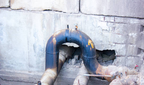 Best Water damage contractors near me  in St Leon, IN
