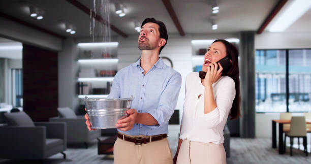 Best Basement water damage restoration  in St Leon, IN