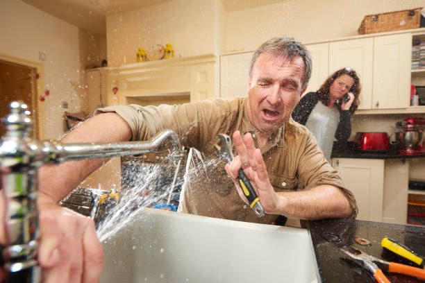 Best Local water damage restoration  in St Leon, IN